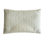 Pillow Ergonomic Buckwheat & Polyester Filling Removable Cover