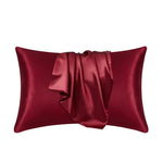Pillowcase Mulberry Silk 22 Momme Zippered Breathable Surface