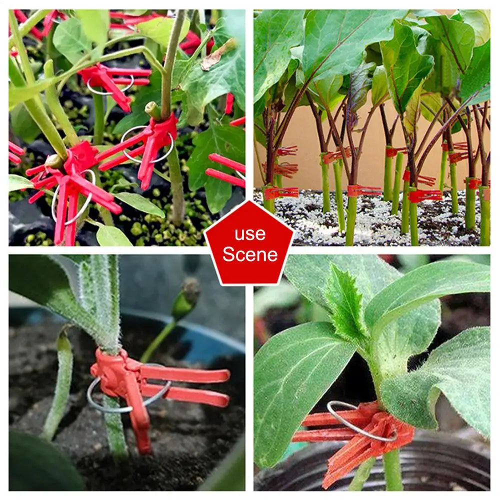 Plant Grafting Clips Easy-Attach Vegetable Support