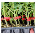 Plant Grafting Clips Easy-Attach Vegetable Support