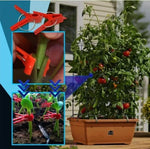 Plant Grafting Clips Easy-Attach Vegetable Support