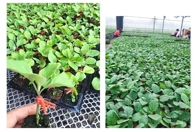 Plant Grafting Clips Easy-Attach Vegetable Support