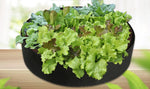 Plant Growth Bag Round Breathable Aeration & Drainage