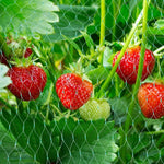 Plant Netting UV-Resistant Pest & Animal Deterrent