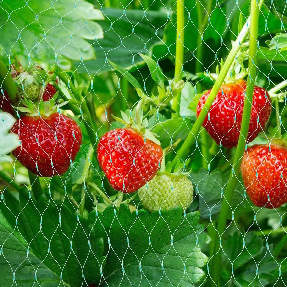 Plant Netting UV-Resistant Pest & Animal Deterrent