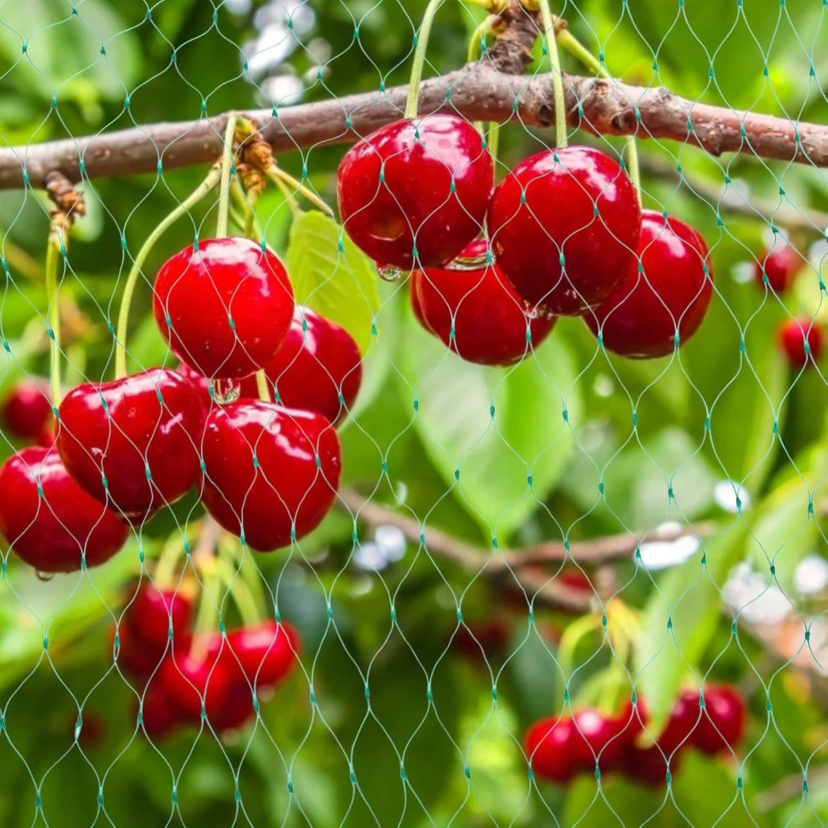 Plant Netting UV-Resistant Pest & Animal Deterrent