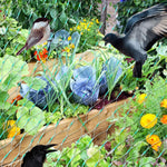 Plant Netting UV-Resistant Pest & Animal Deterrent