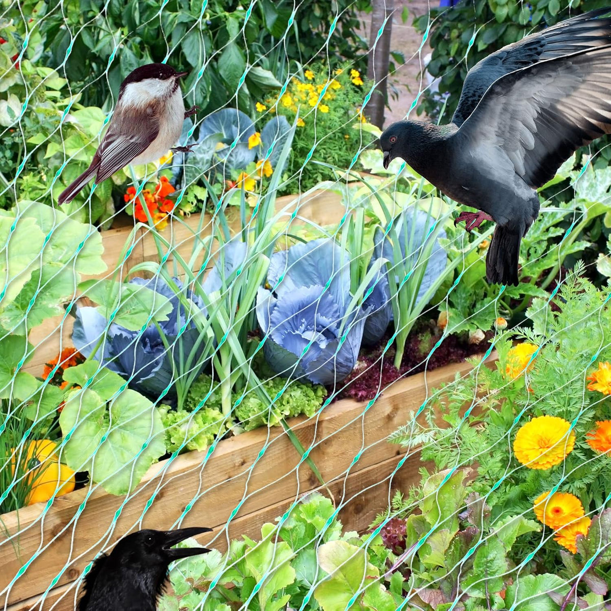 Plant Netting UV-Resistant Pest & Animal Deterrent