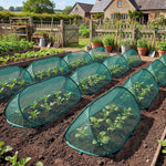 Plant Protection Cover Breathable UV-Resistant Mesh