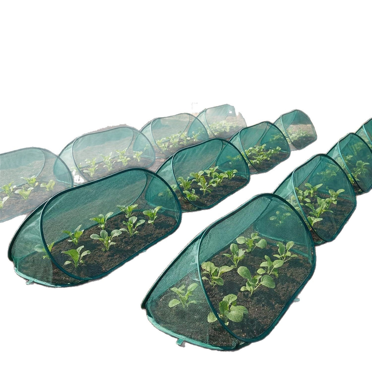 Plant Protection Cover Breathable UV-Resistant Mesh