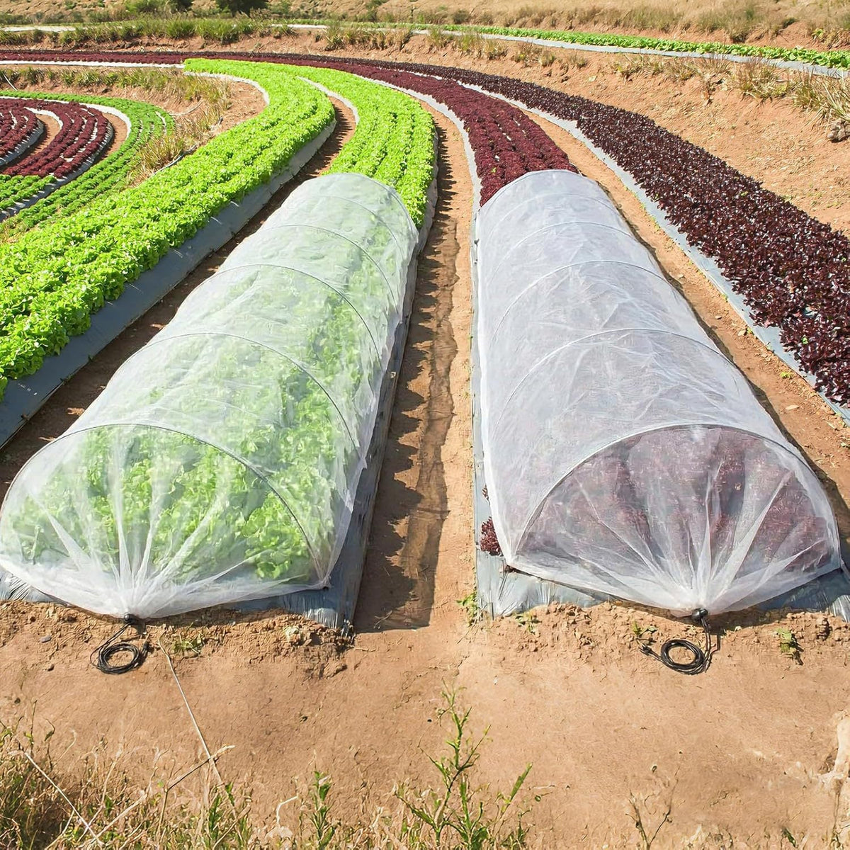 Plant Protection Tunnel Fine Mesh UV-Resistant
