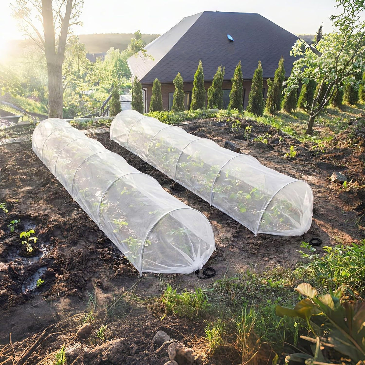 Plant Protection Tunnel Fine Mesh UV-Resistant