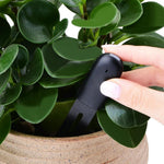 Plant Sensor 4-in-1 Bluetooth App & Color LED