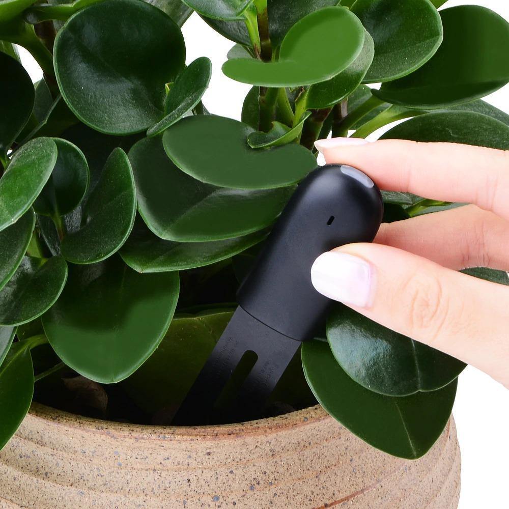 Plant Sensor 4-in-1 Bluetooth App & Color LED
