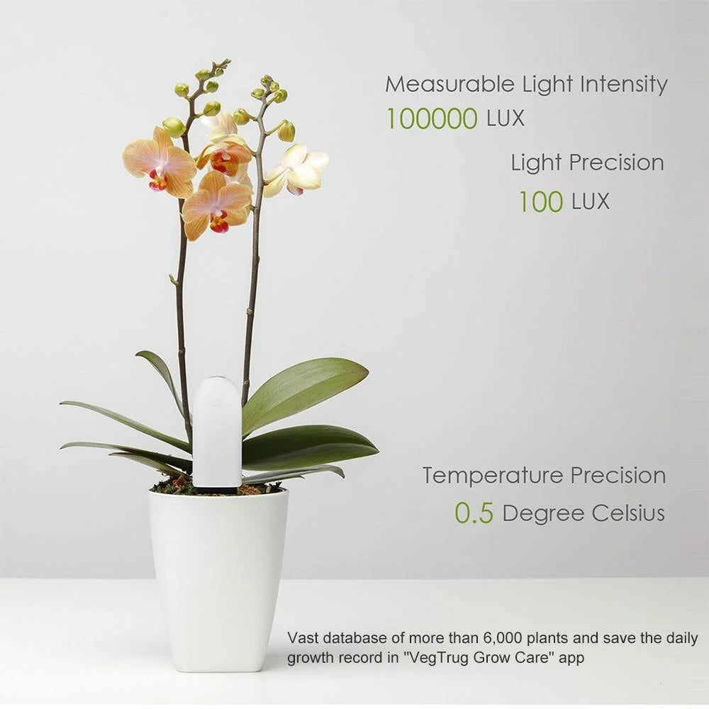 Plant Sensor 4-in-1 Bluetooth App & Color LED
