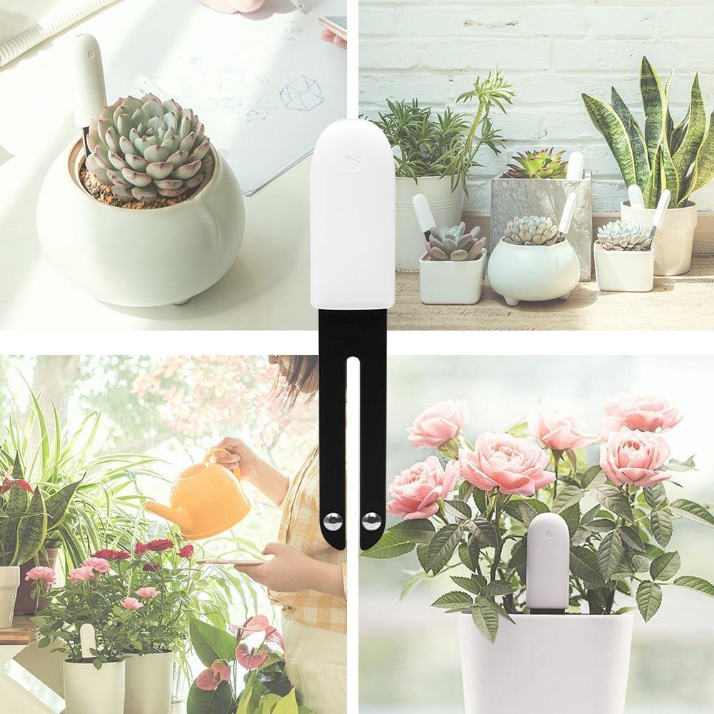 Plant Sensor 4-in-1 Bluetooth App & Color LED