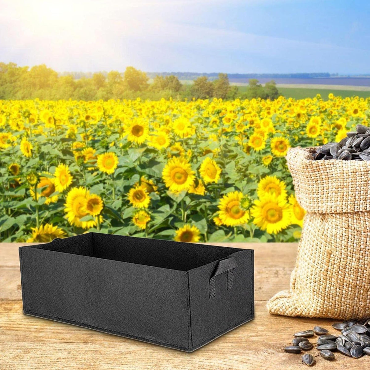 Plant Storage Box Foldable Felt Handles