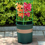 Plant Support Frame Adjustable Modular Tool-Free 60 Piece Set
