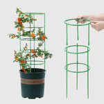 Plant Support Frame Adjustable Modular Tool-Free 60 Piece Set