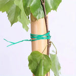 Plant Support Wire Flexible & Weather-Resistant 50m Roll