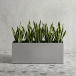 Planter Box Brushed Aluminum Waterproof Lining 30-Inch Length