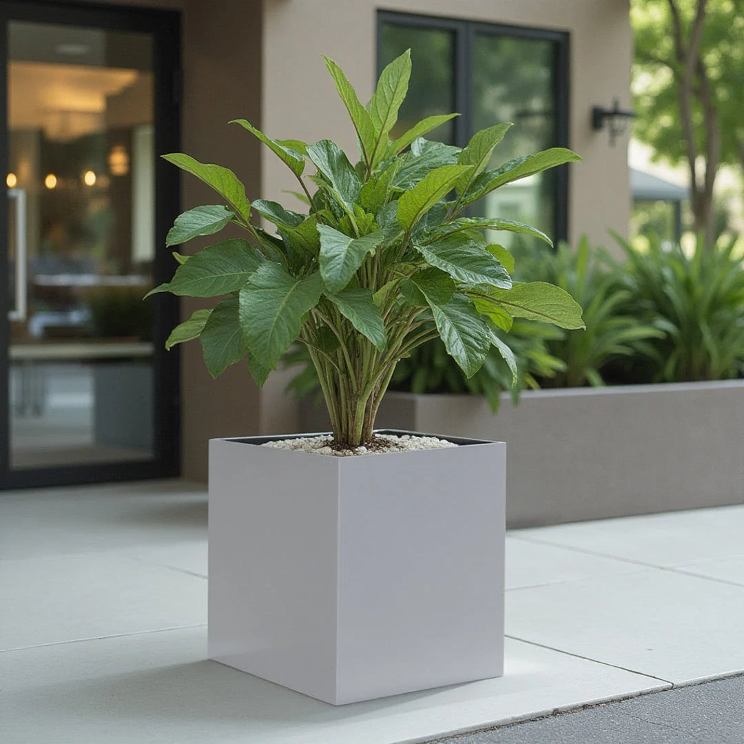 Planter Box Brushed Aluminum Weather-Resistant Indoor Outdoor
