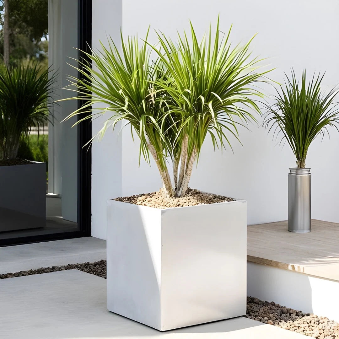 Planter Box Brushed Aluminum Weather-Resistant Indoor Outdoor