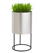 Planter Raised Stainless Steel Pot & Iron Stand