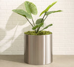 Planter Stainless Steel Waterproof Lining Indoor & Outdoor