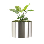 Planter Stainless Steel Waterproof Lining Indoor & Outdoor