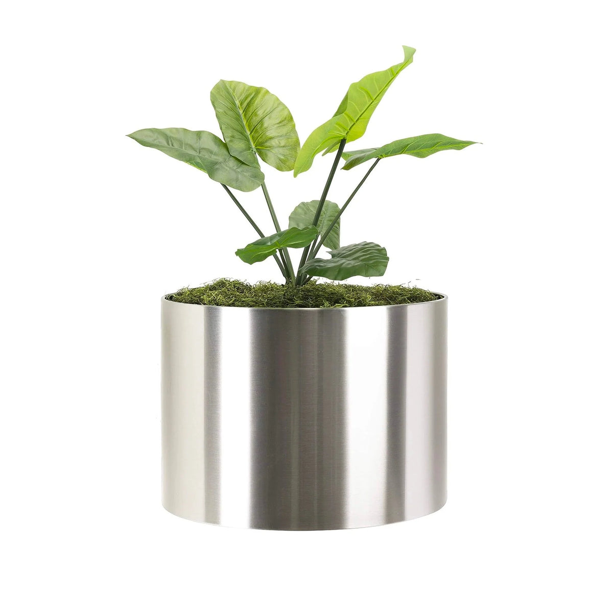 Planter Stainless Steel Waterproof Lining Indoor & Outdoor