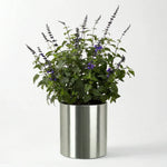 Planter Stainless Steel Waterproof Lining Indoor & Outdoor