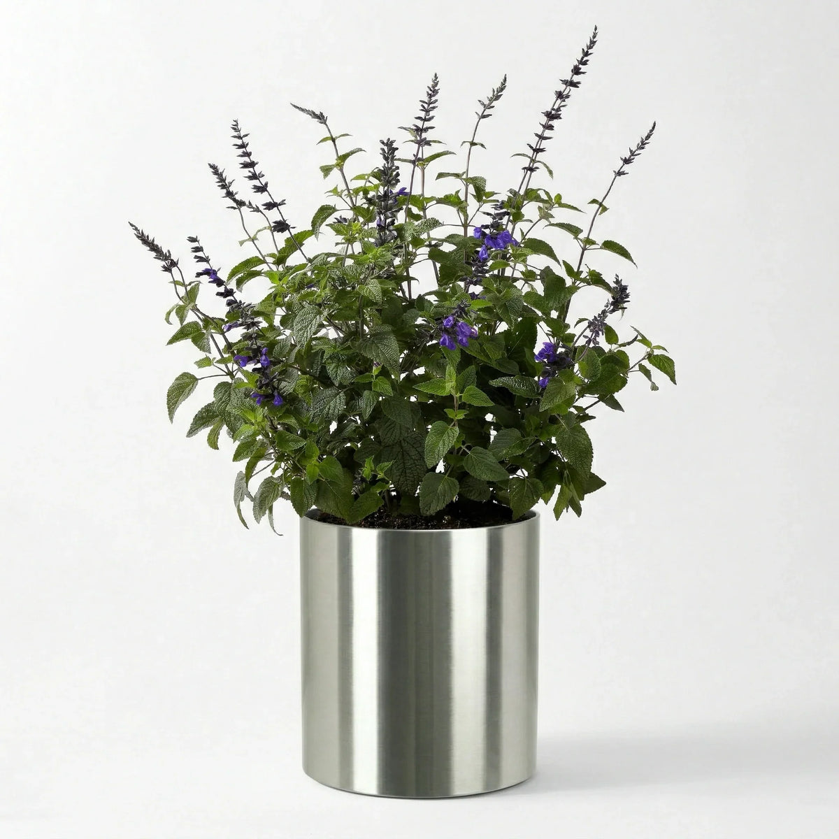 Planter Stainless Steel Waterproof Lining Indoor & Outdoor
