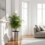Planter Stainless Steel Waterproof Lining Indoor & Outdoor