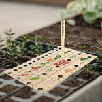 Planting Ruler Solid Wood Seed Spacing & Depth