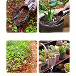 Planting Scoop Stainless Steel Ergonomic & Non-Slip Handle