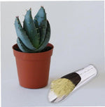 Planting Scoop Stainless Steel Ergonomic & Non-Slip Handle