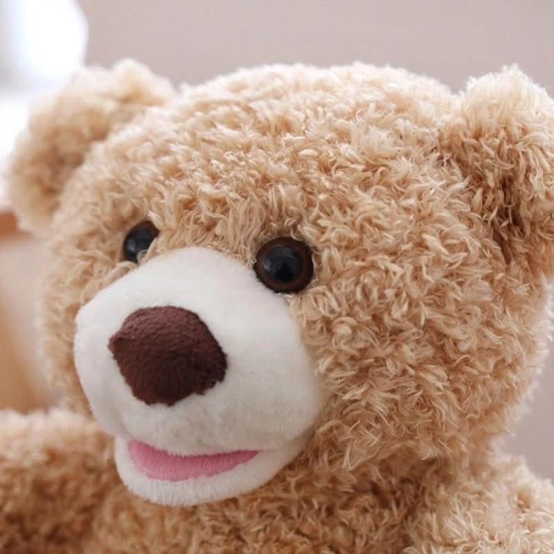 Plush Bear Interactive Peekaboo Game Soft & Easy-Clean