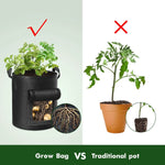 Potato Grow Bag Breathable Air-Pruning Fabric