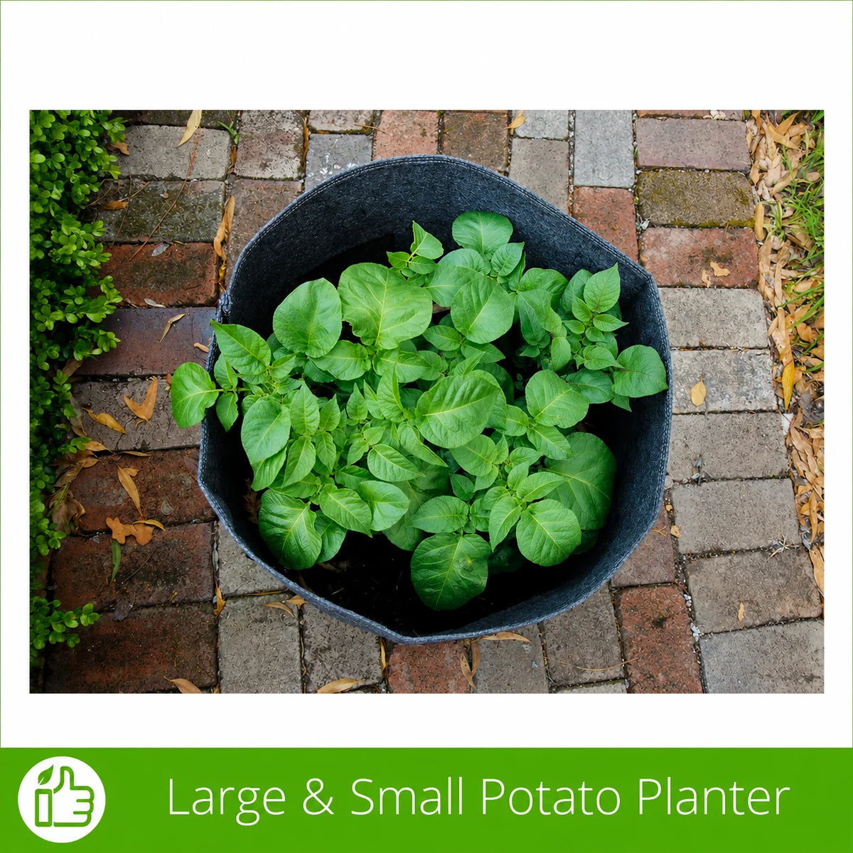 Potato Grow Bag Reusable With Side Access Flap