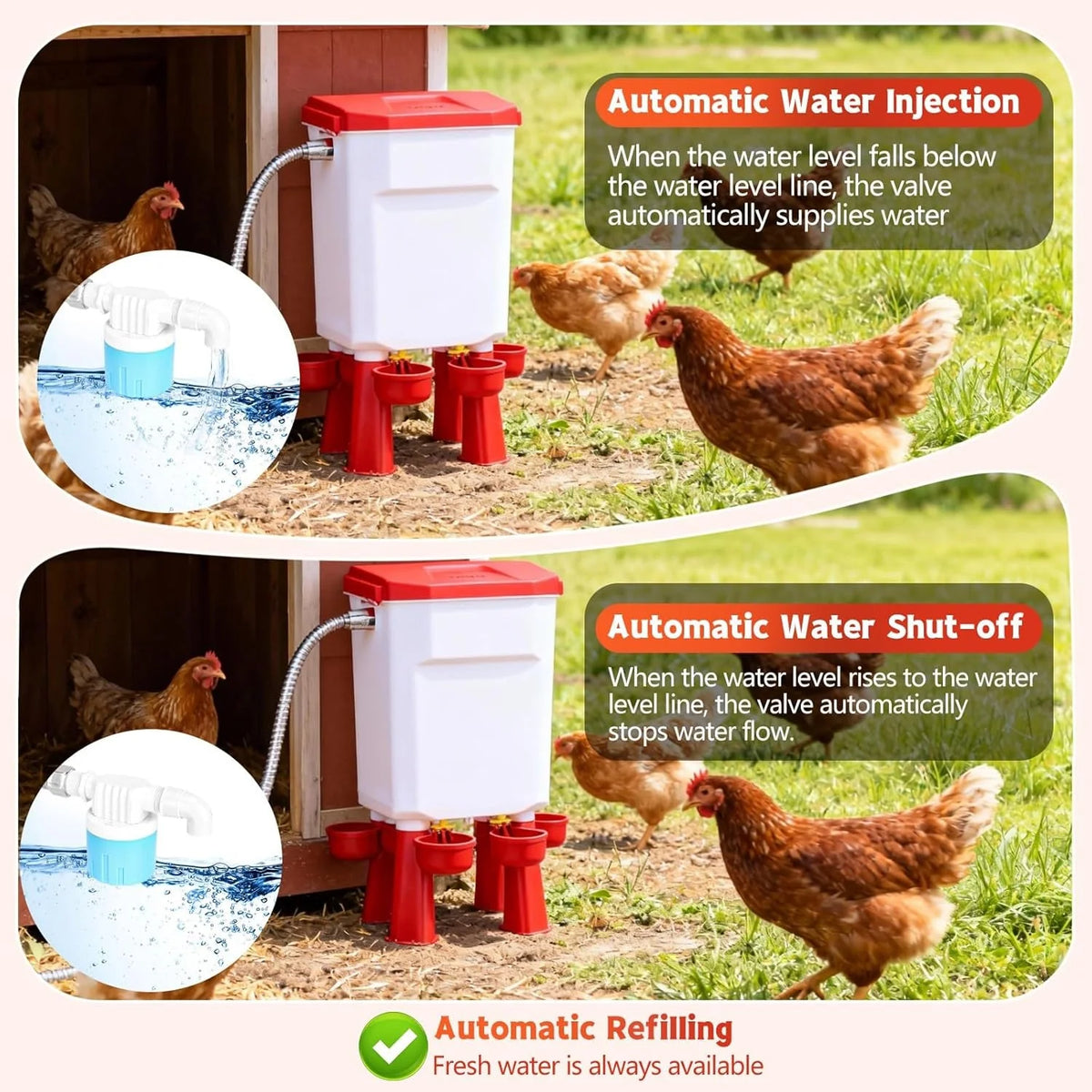 Poultry Waterer Automatic Float Valve Four Bowls