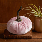 Pumpkin Decor Velvet Plush Cushion