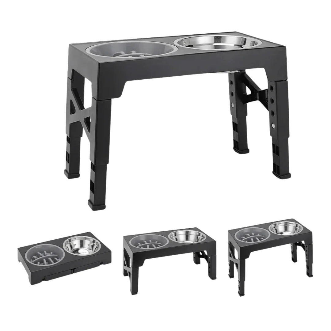 Raised Dog Feeder Adjustable Tilt Stainless Steel & Slow-Feed Bowls