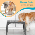 Raised Dog Feeder Adjustable Tilt Stainless Steel & Slow-Feed Bowls