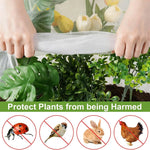 Raised Garden Bed Elevated With Protective Mesh Cover