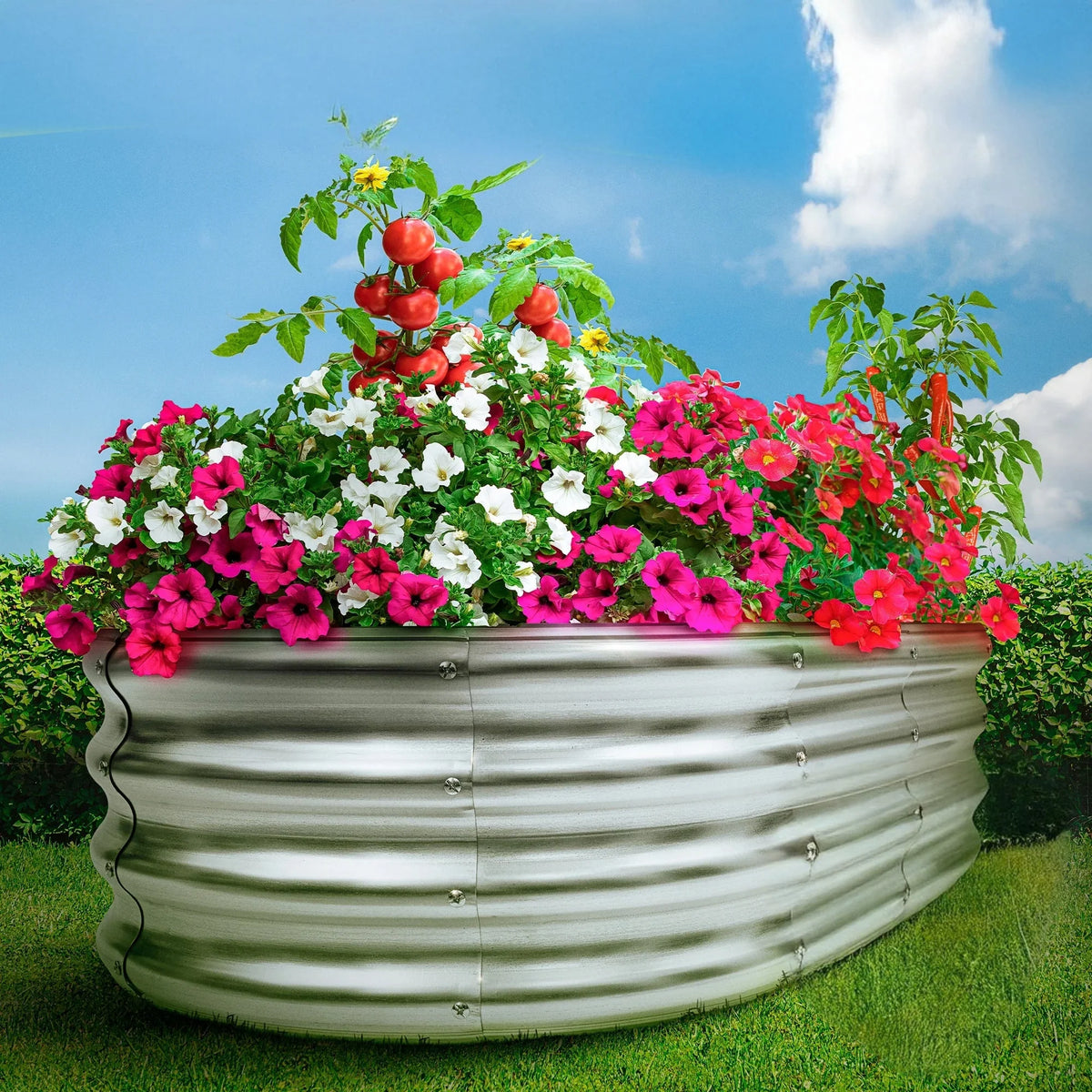 Raised Garden Bed Galvanized Steel Modular Tool-Free Assembly
