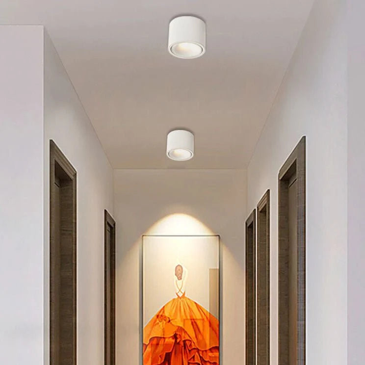 Recessed Ceiling Light Adjustable LED Aluminum