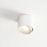 Recessed Ceiling Light Adjustable LED Aluminum