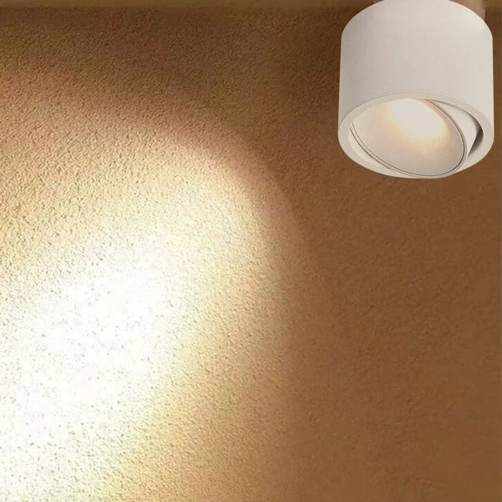 Recessed Ceiling Light Adjustable LED Aluminum