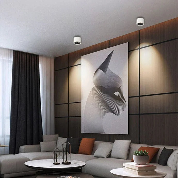 Recessed Ceiling Light Adjustable LED Aluminum